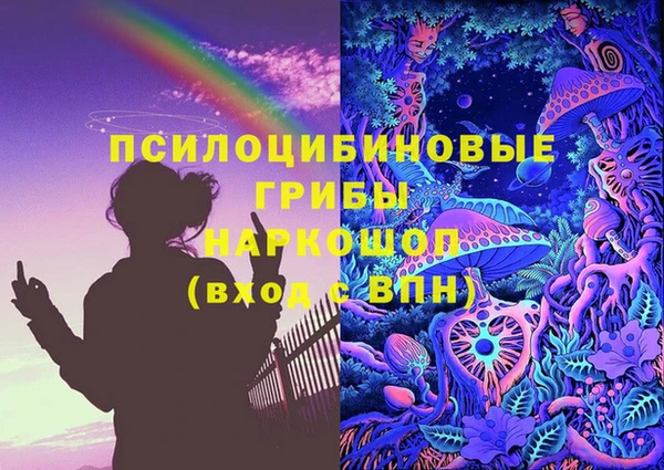 шишки Армянск