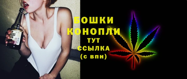 шишки Армянск